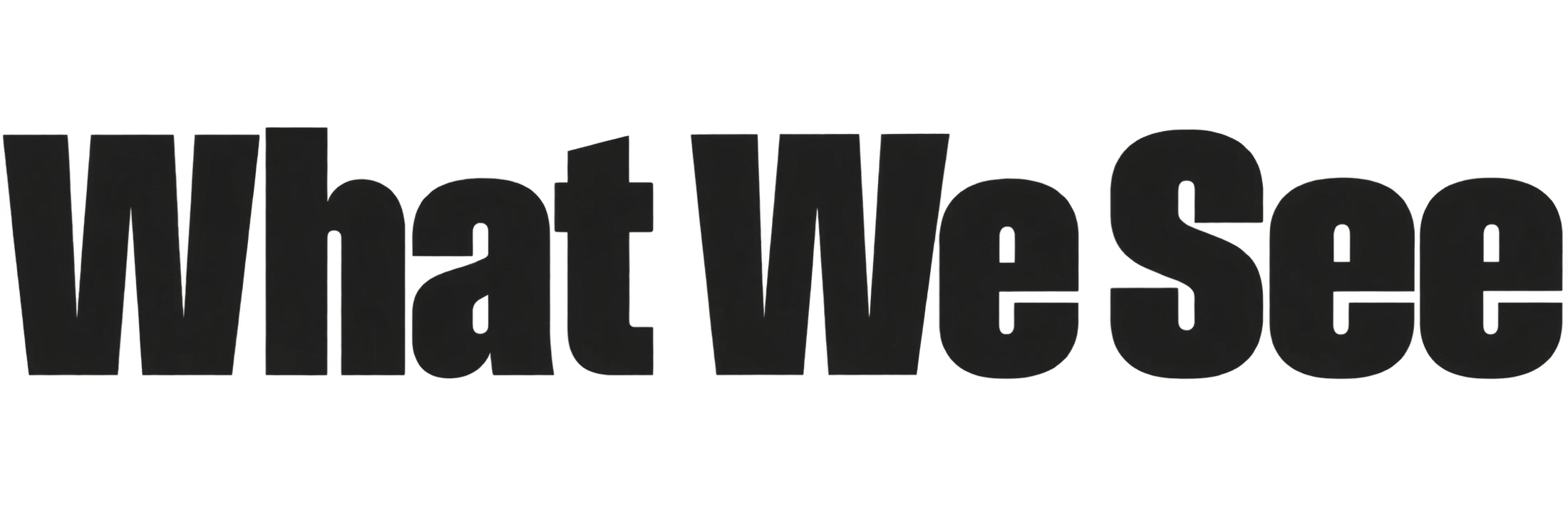 The words "What We See" are displayed in a bold, black, sans-serif typeface on a white background.