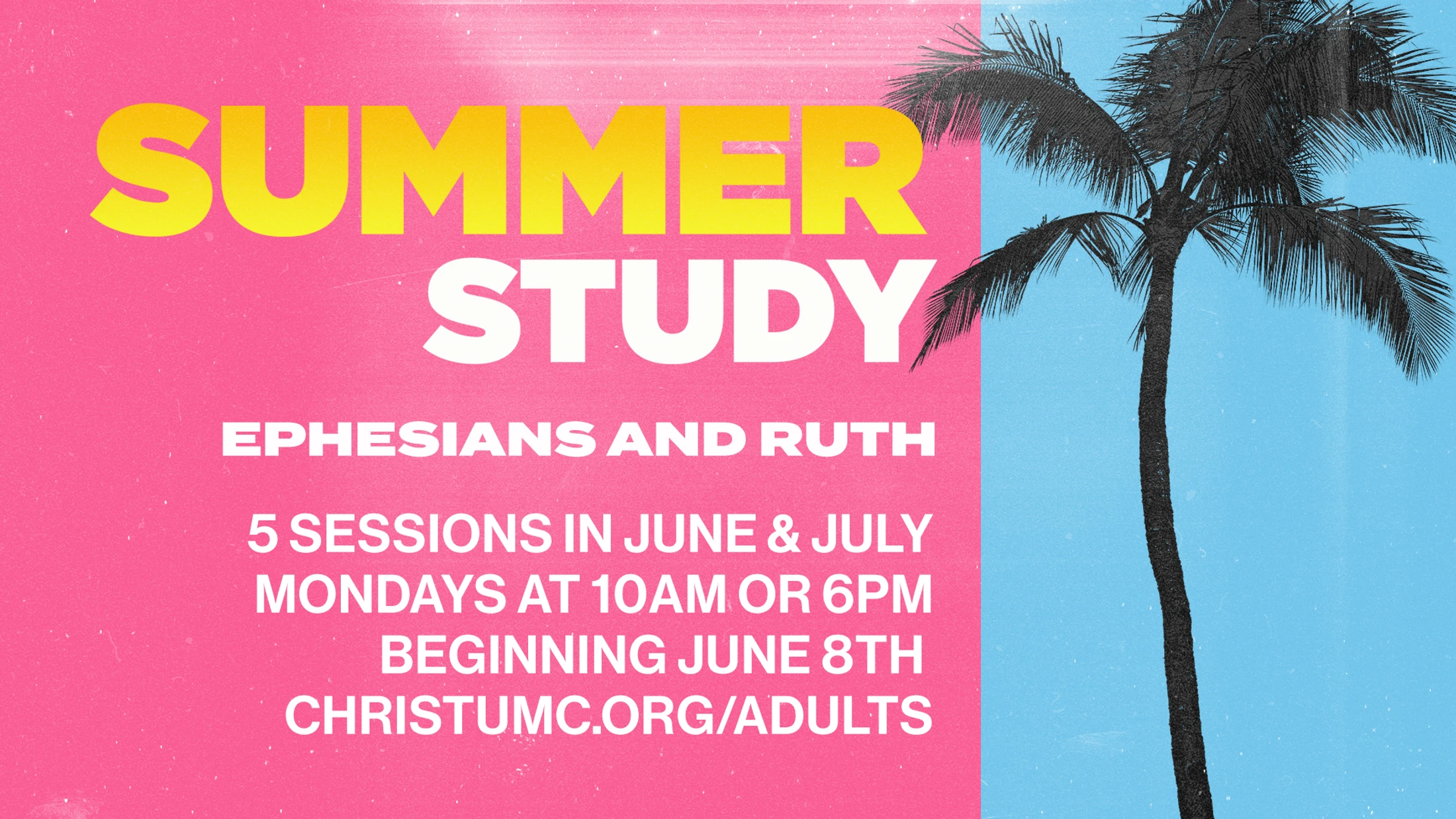 Summer Study