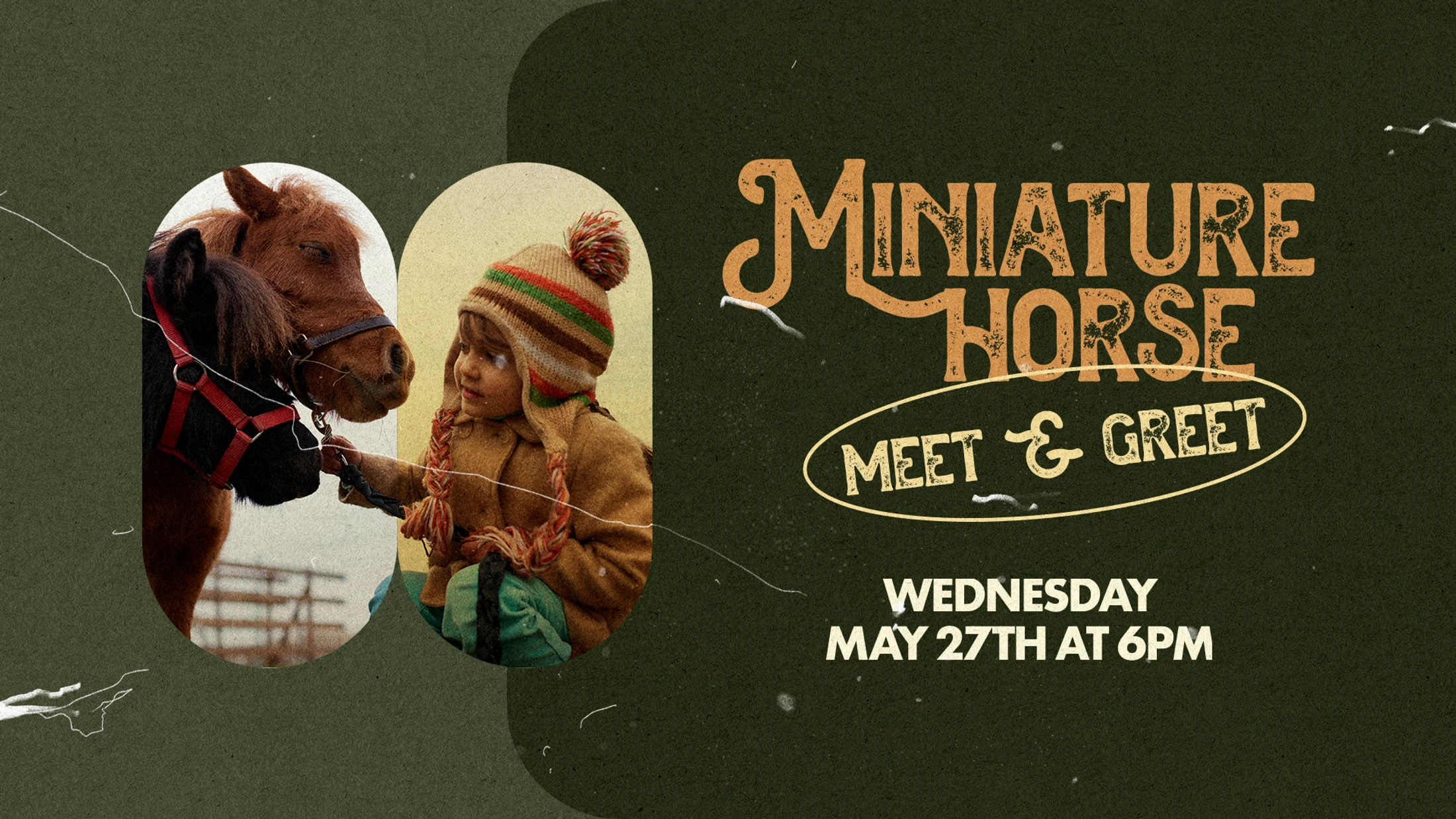 Miniature Horse Meet & Greet