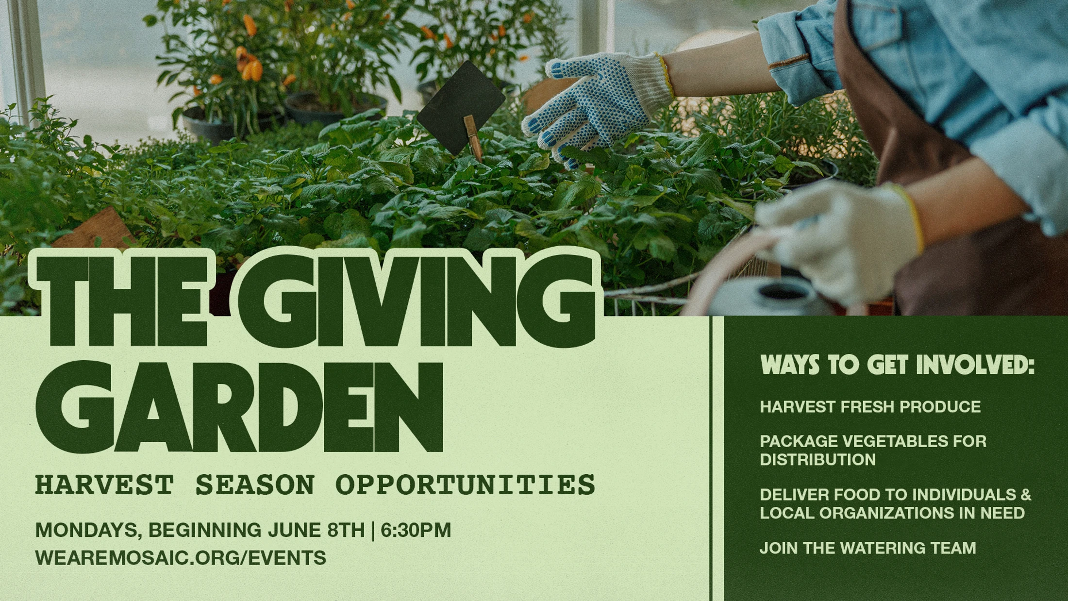 The Giving Garden: Harvest Season Opportunities
