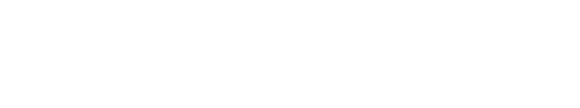 Main Logo