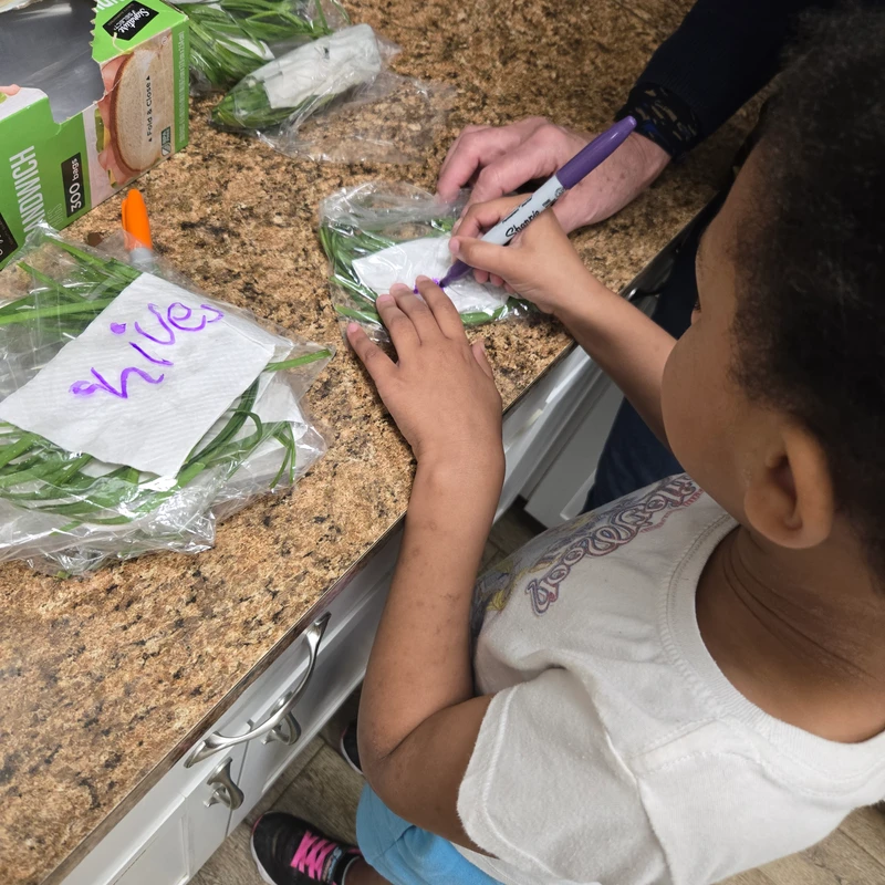 <span>In 2026, the children expanded their operation to include more herbs and flowers that could be dried into tea. They wanted to not only to nourish their neighbors with good food but with a nice hot cup of tea when winter comes!</span>
