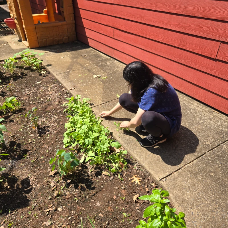 <span>We connected with the local branch of the Hands On Harvest and participated in their Grow A Row Program which donates the produce to local food pantries. We of course donated to our very own food pantry: Grains of Hope! </span>