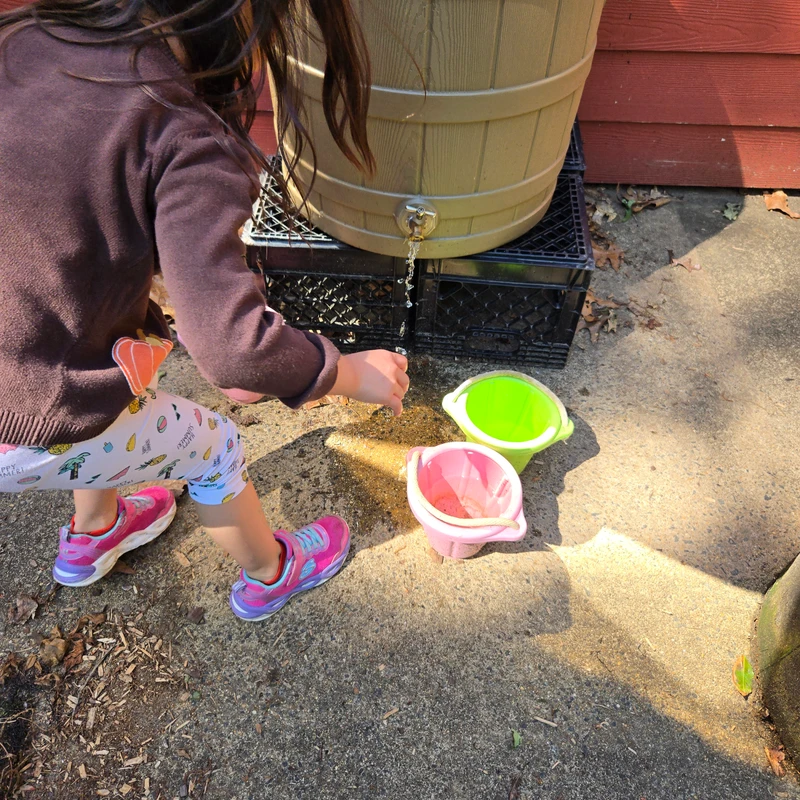 <span>In the fall of 2025, the gardening club donated a rain barrel. This allowed the children to water the garden independently.</span>