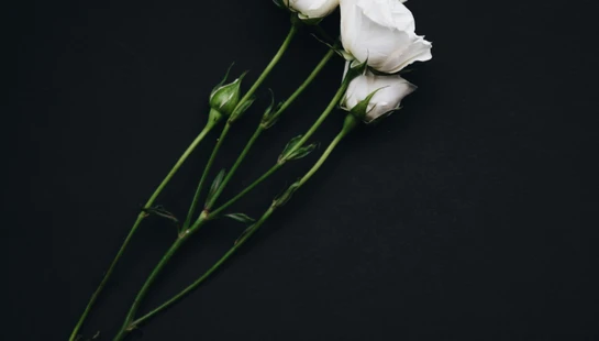 Funeral