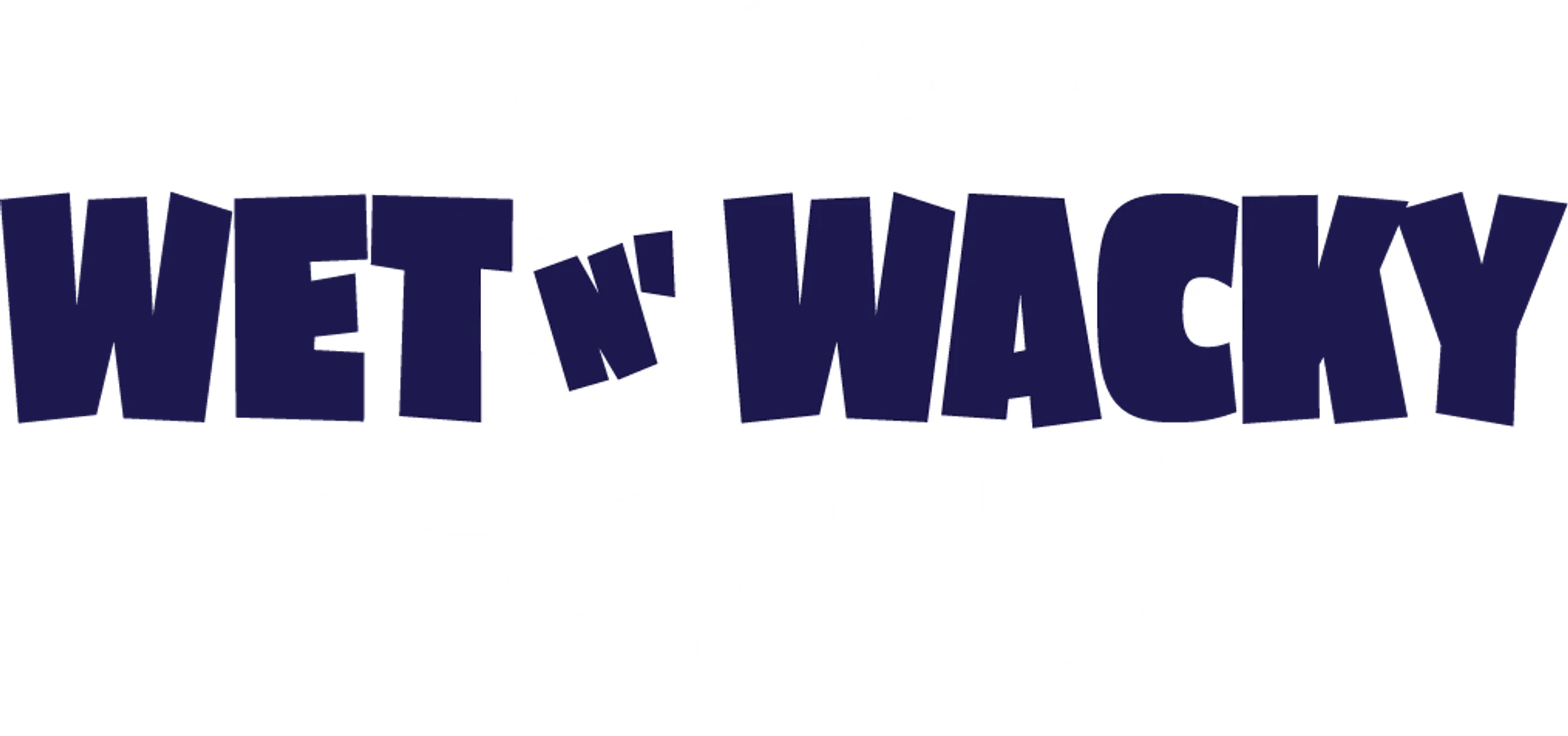 The words 'Wet 'n' Wacky' in a dark blue, cartoonish font with letters of varying sizes and angles on a transparent background.