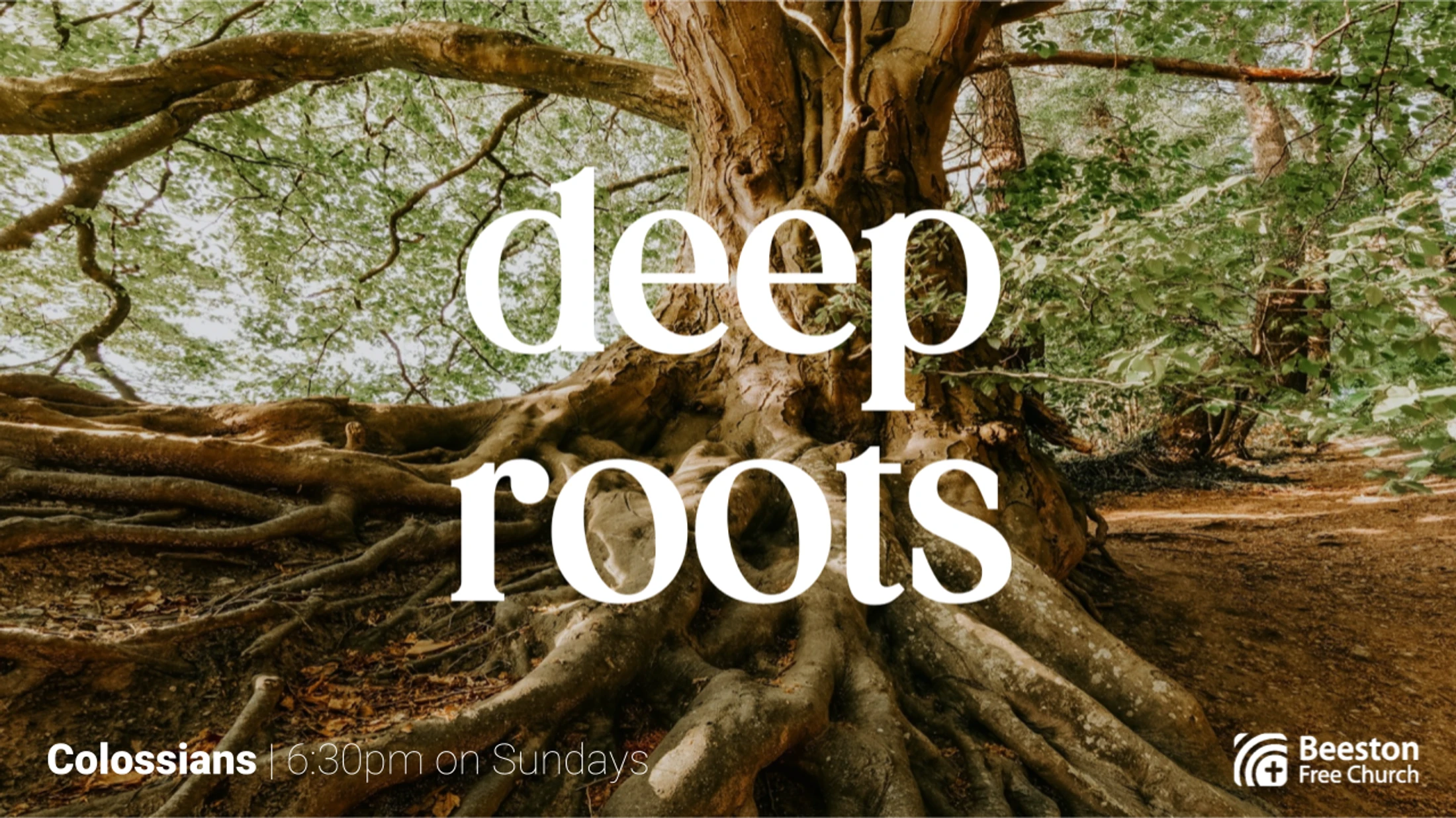 Deep Roots