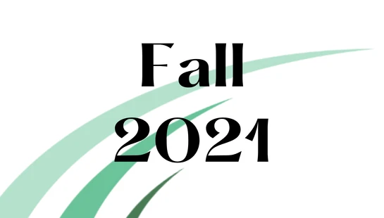 <span class="h4">Ash Masonry addressed loose stone via roof access</span>