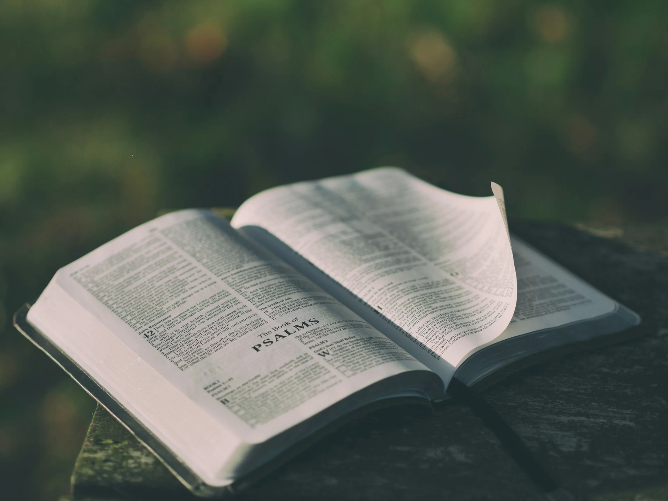 Bible teaching