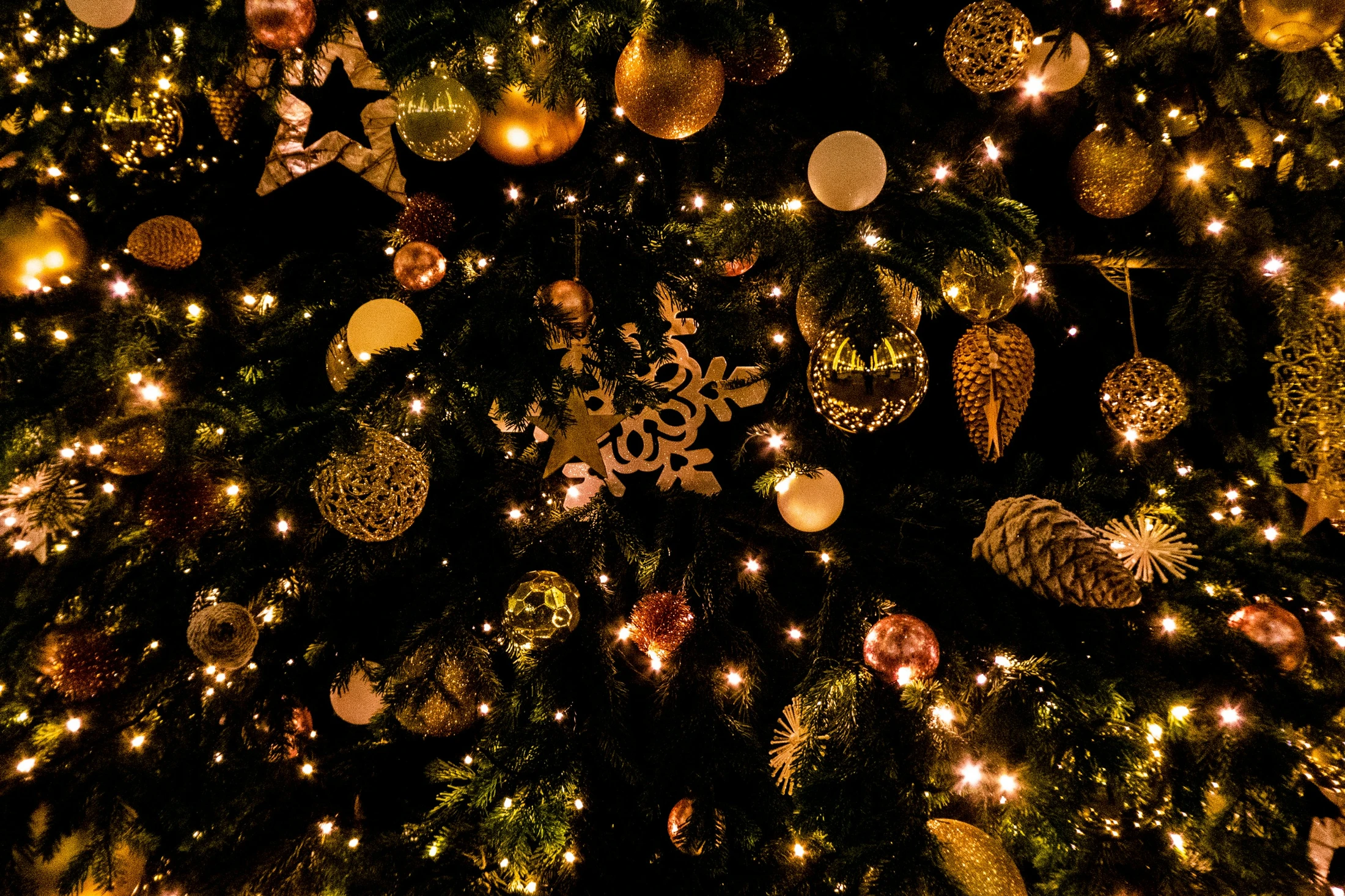 Deck the Halls