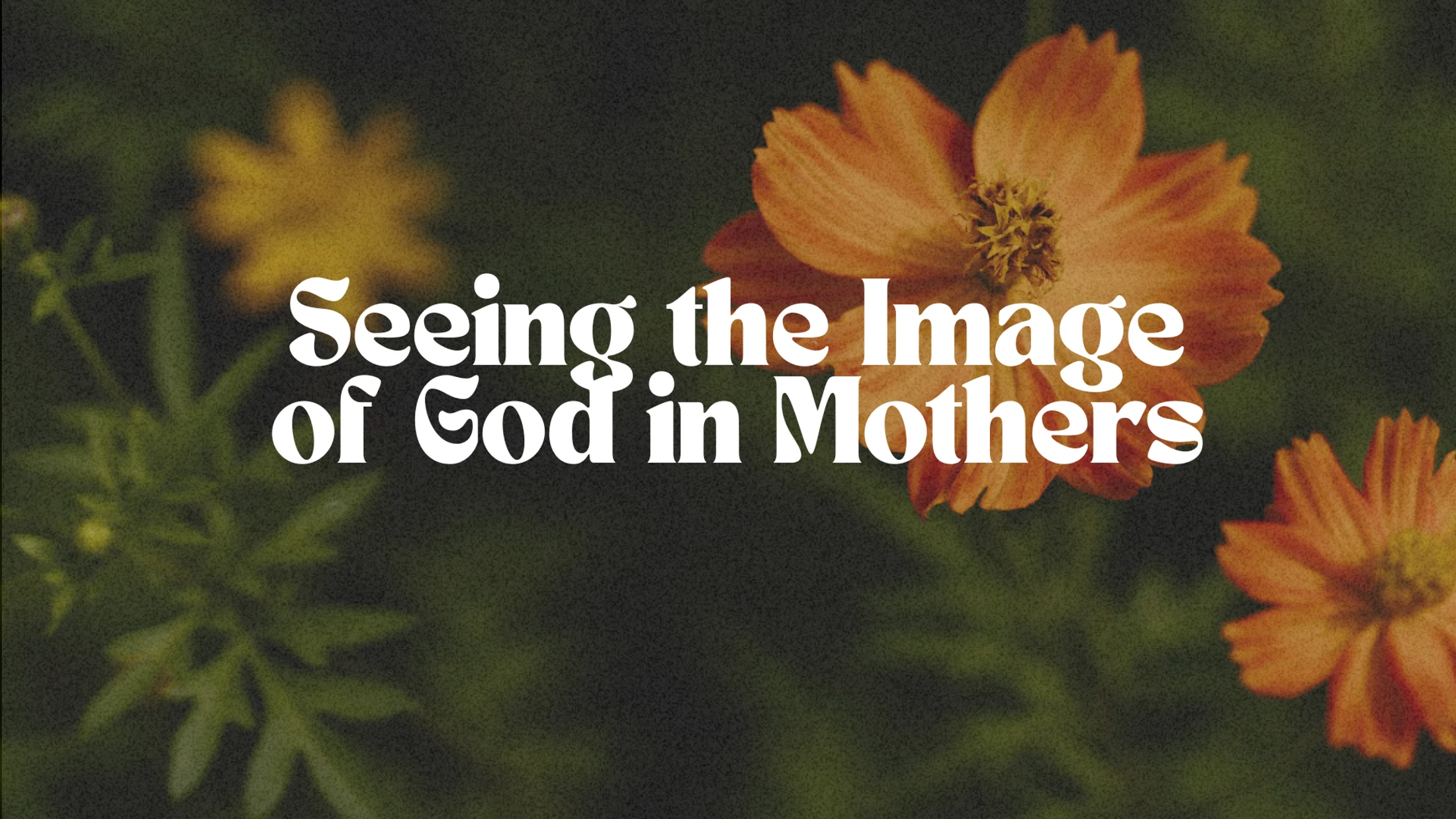 Seeing The Image of God In Mothers