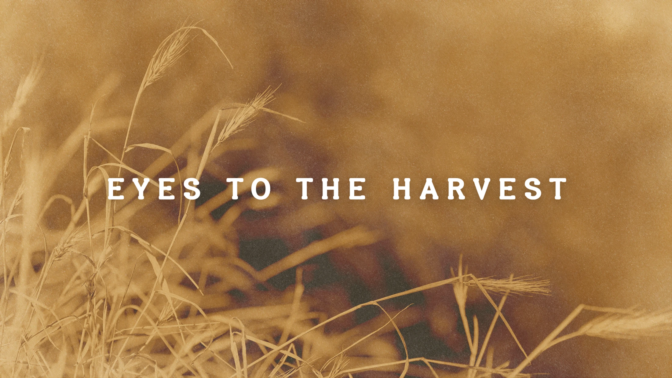 Eyes to the Harvest