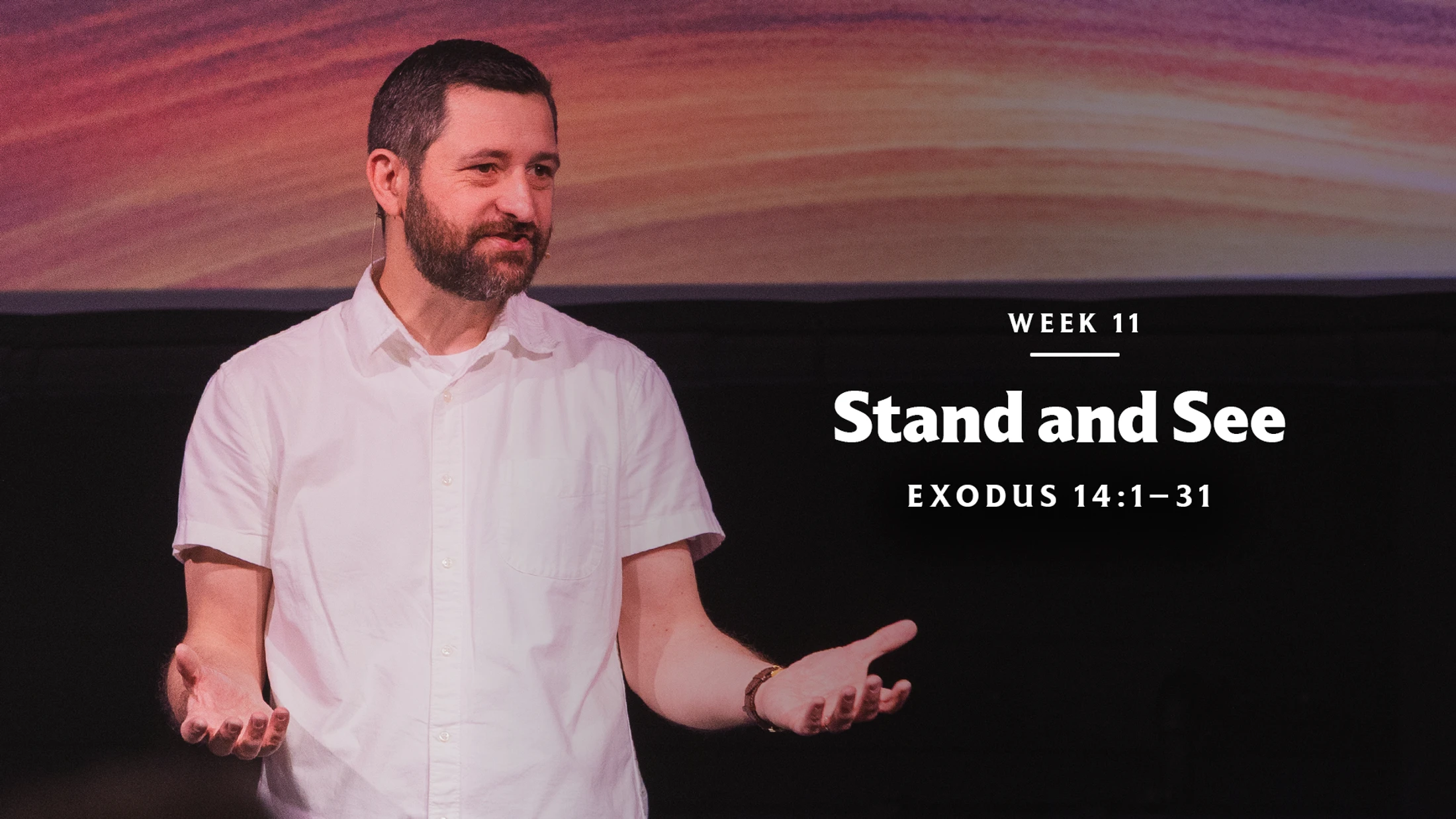 Stand and See | Exodus 14:1–31