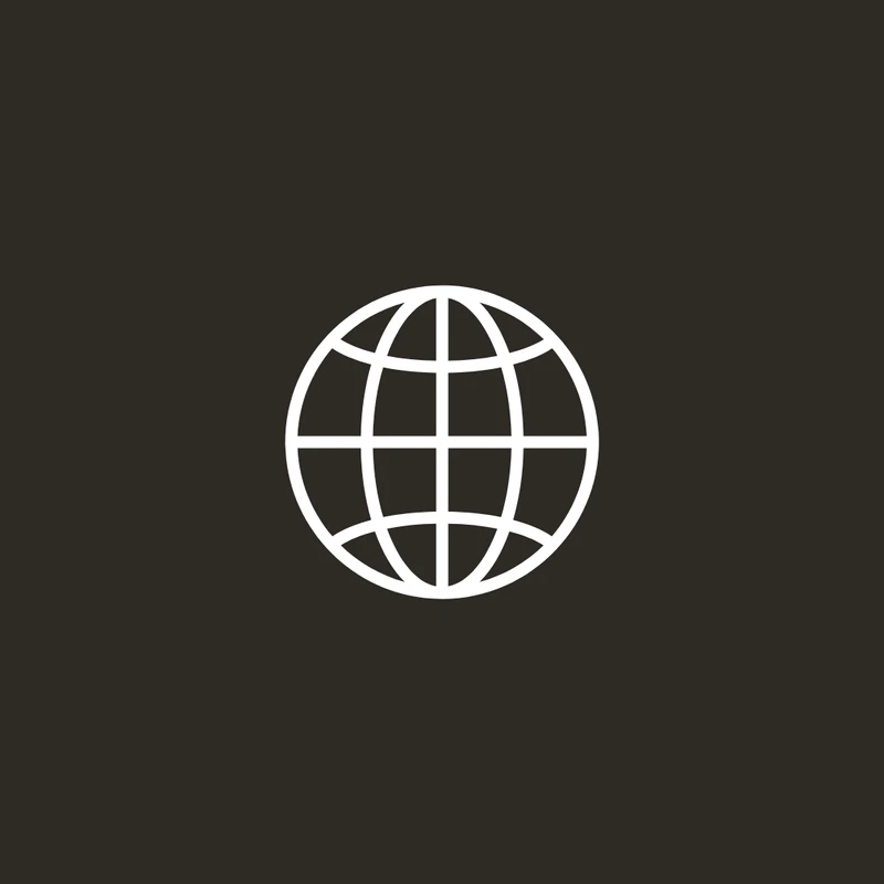 A simple white line icon of a globe, showing latitude and longitude lines, centered on a solid dark gray background.