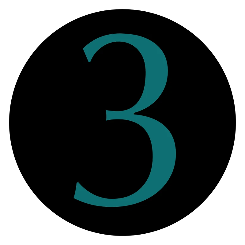 A dark teal numeral 3 in a serif font, centered inside a solid black circle on a white background.
