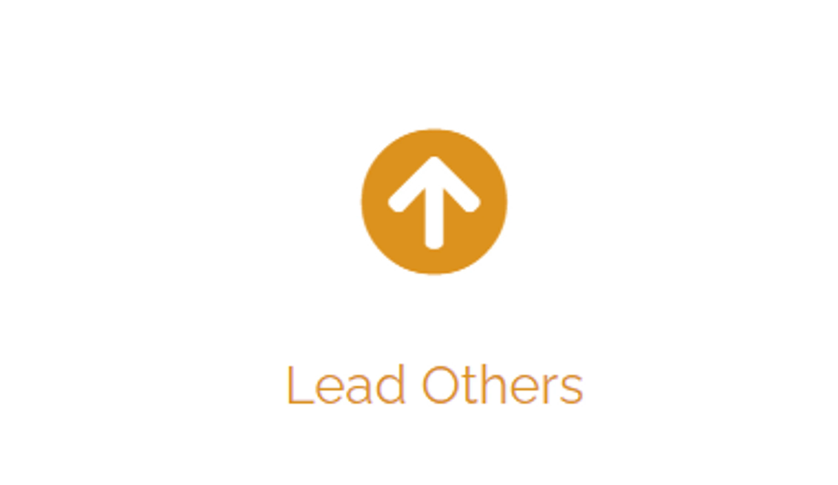 Lead <span style="font-weight: normal;">Others</span>