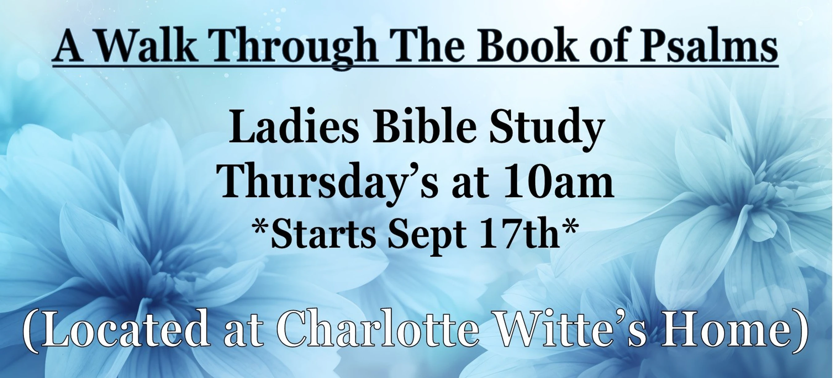 Ladies Thursday Study