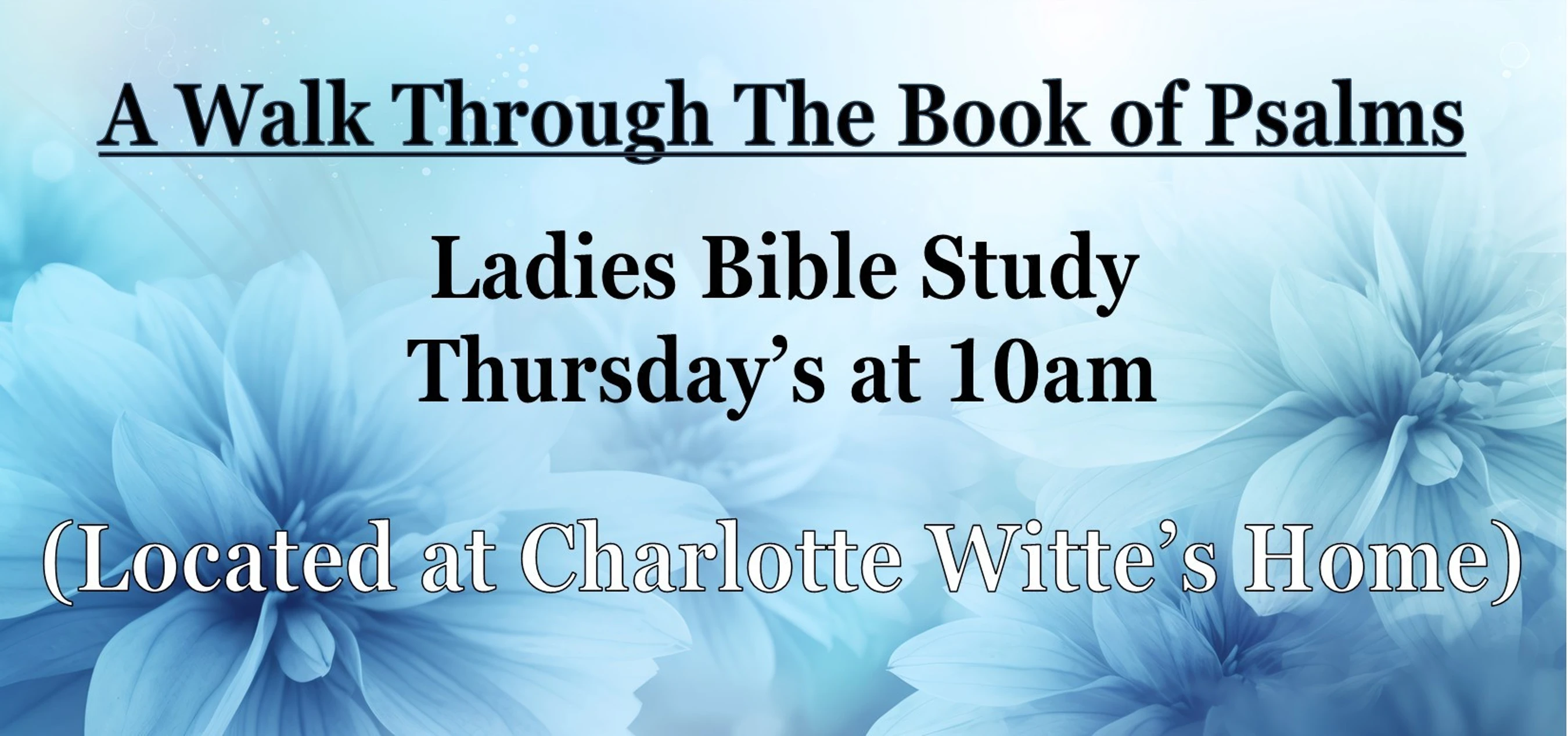 Ladies Thursday Study