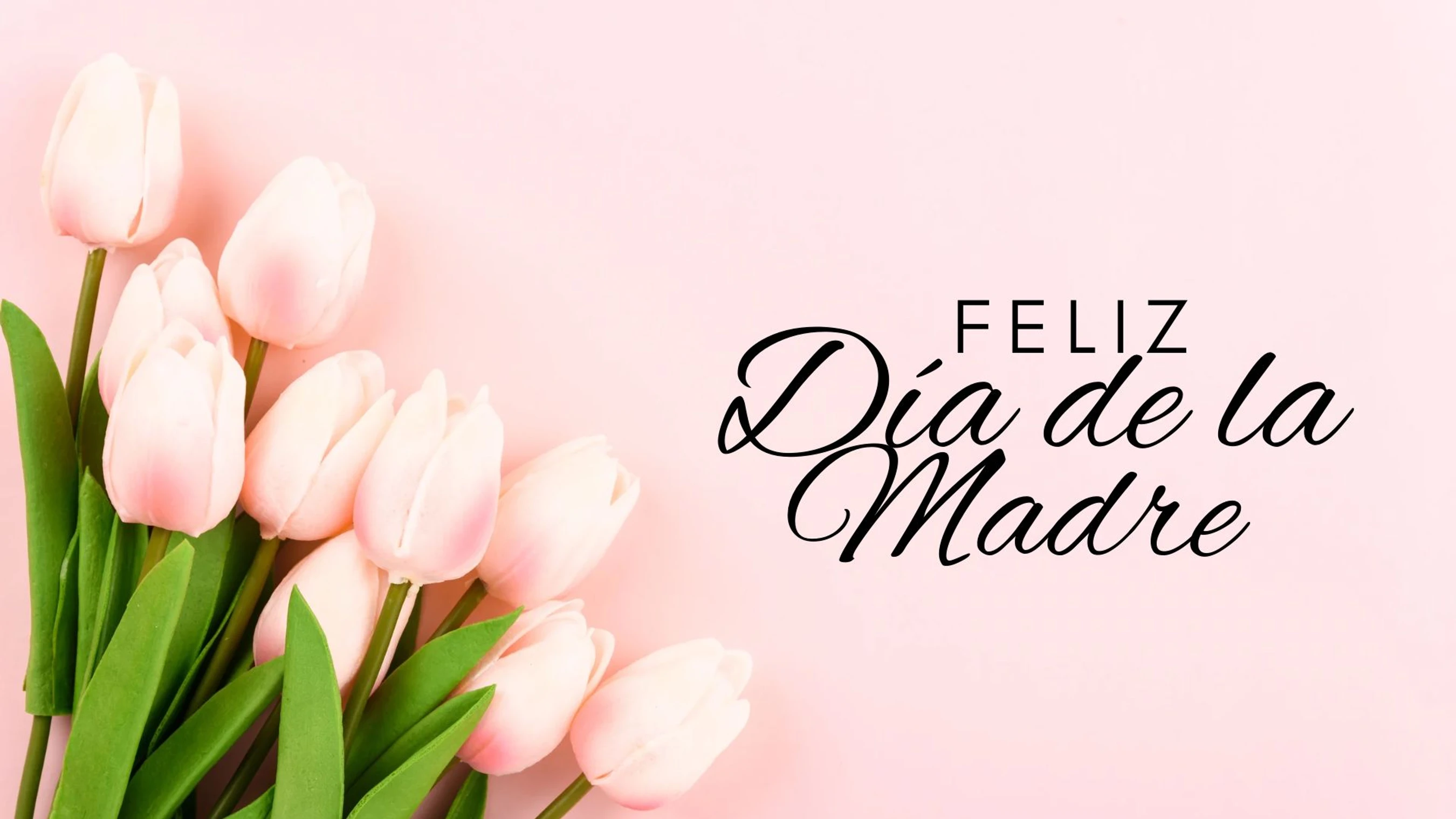 Feliz Día de la Madre