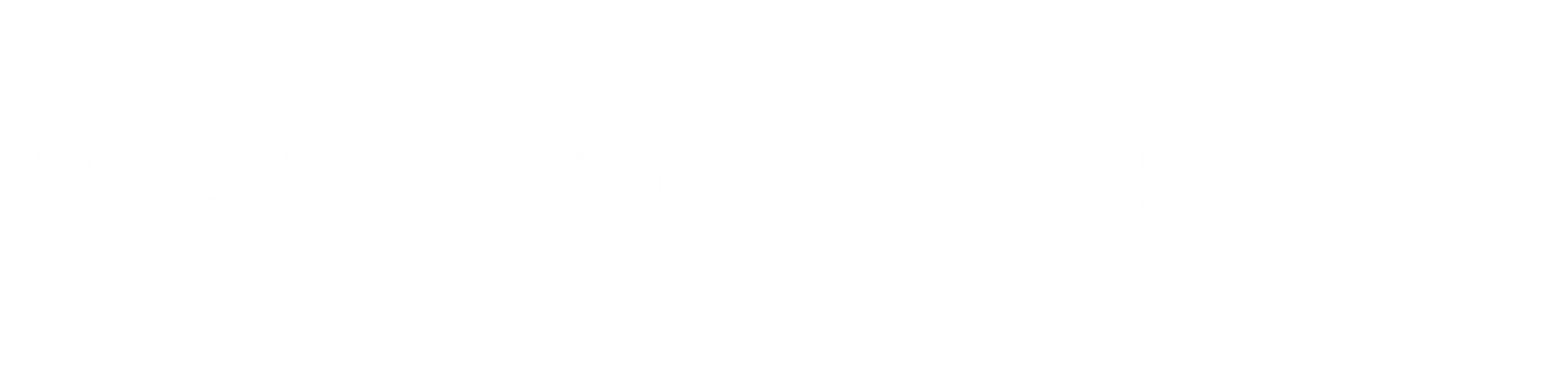 Main Logo