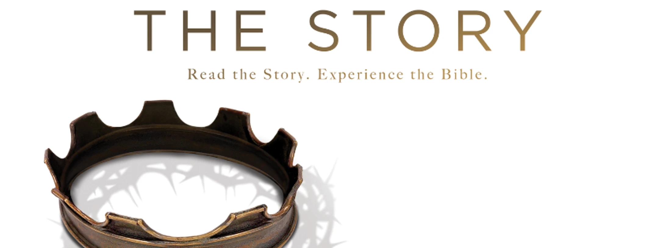 Genesis 1-4, 6-9||Creation: The Beginning of Life as We Know It: The Story, Pt. 1