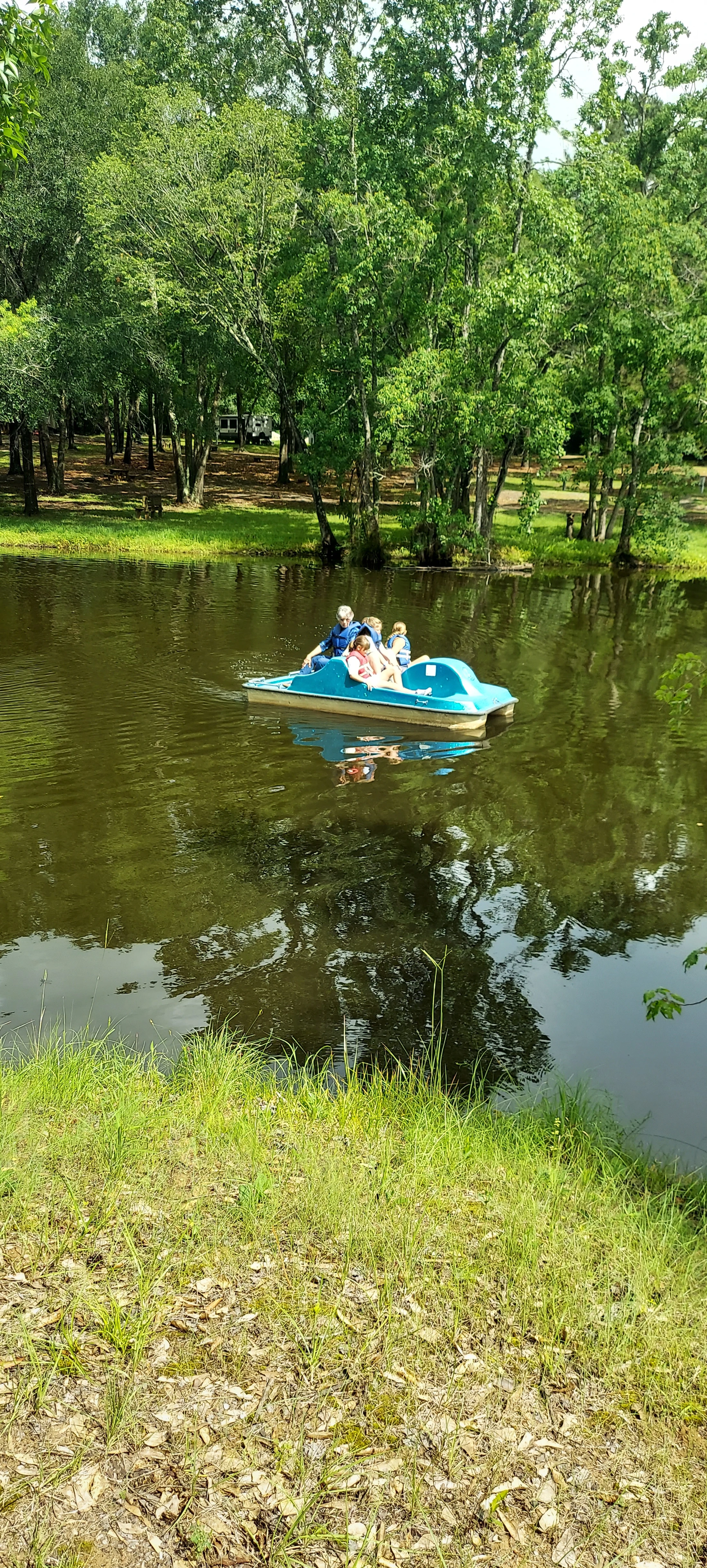 A family enjoys a ride in a blue paddle boat on a calm lake. Lush green trees line the shore, and their reflections are visible in the water.