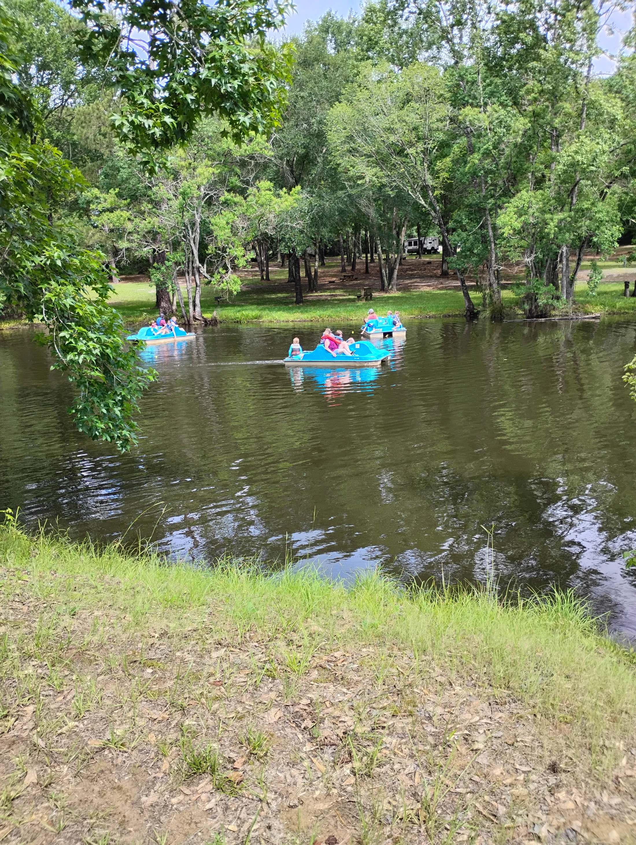 Families and friends enjoy a sunny day in bright blue paddle boats on a calm lake surrounded by a lush green forest, with a grassy bank in the foreground.