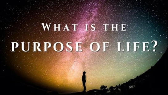What Is The Purpose Of Life?