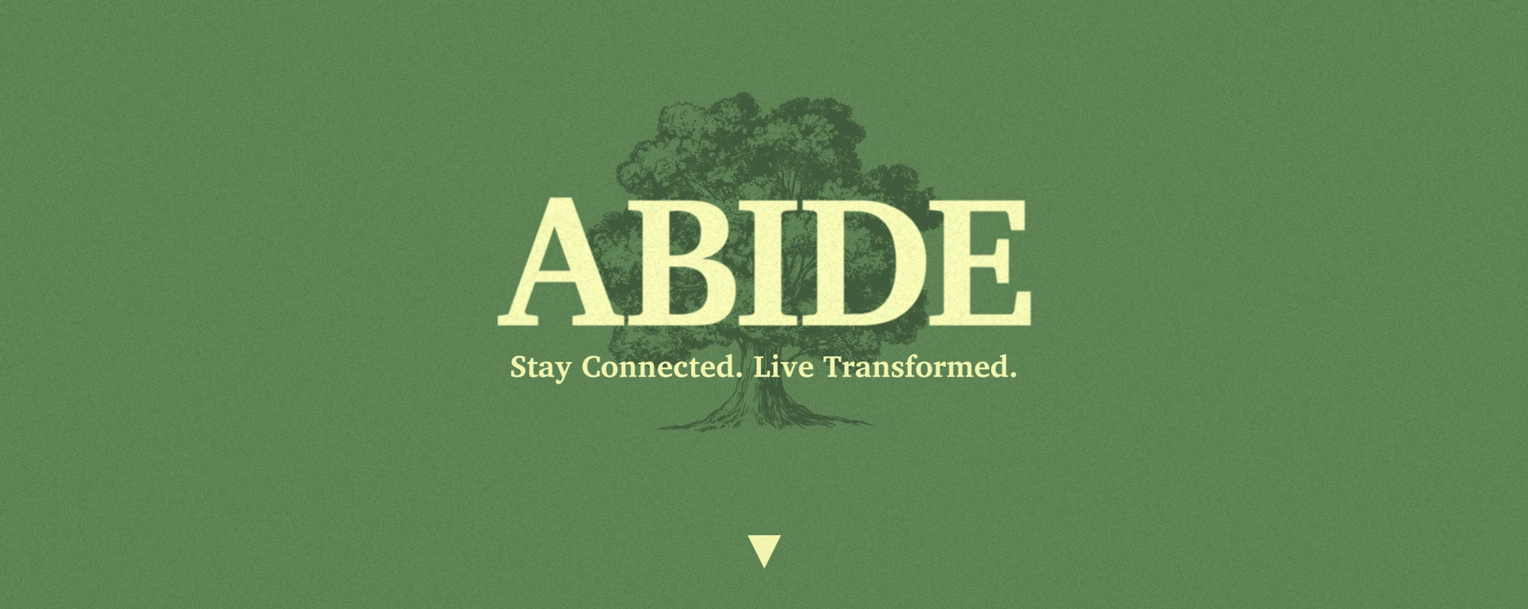 A graphic with a textured green background. A large tree is behind the word 'ABIDE' in cream text. Below it reads, 'Stay Connected. Live Transformed.'