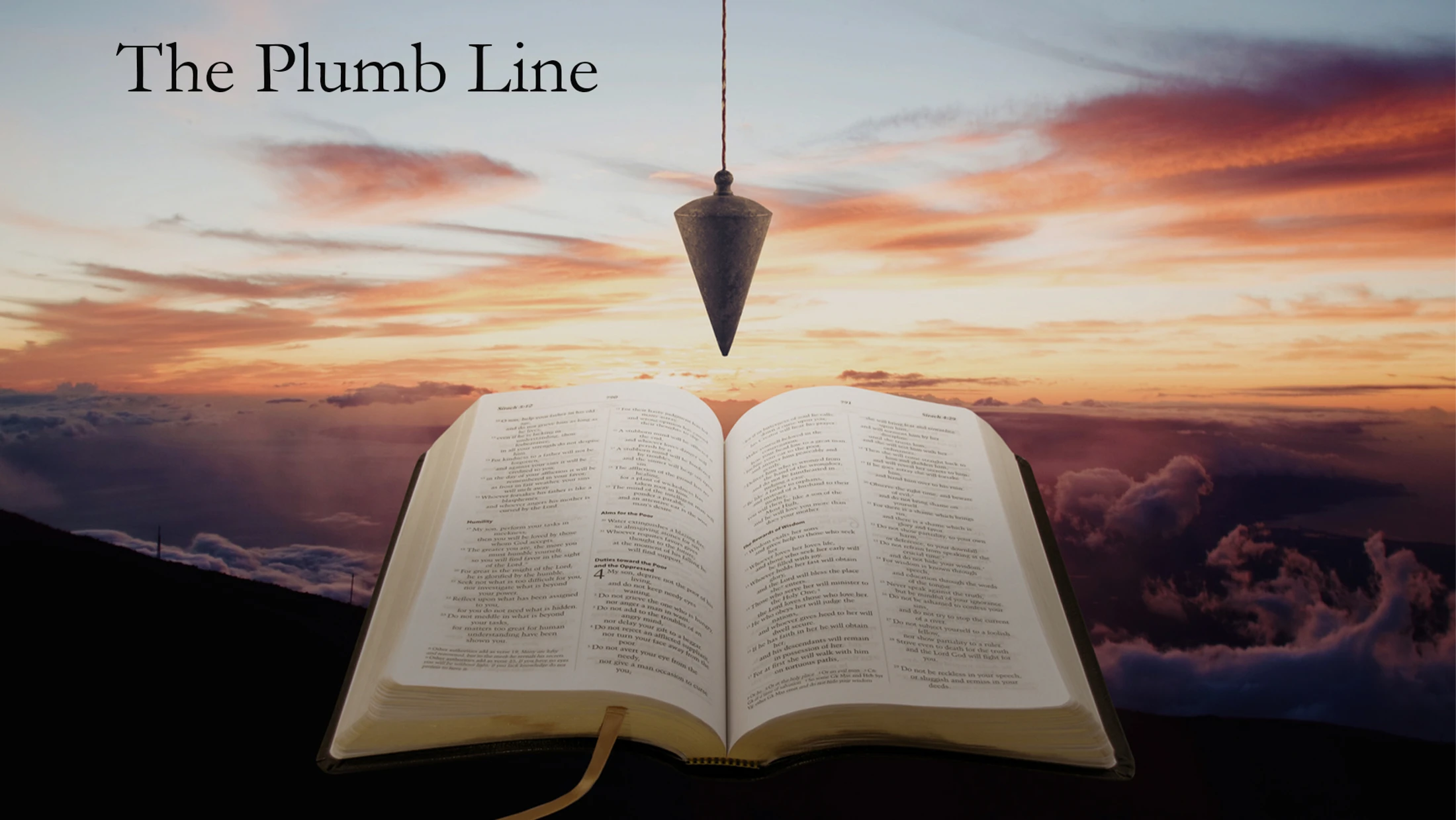 The Plumb Line