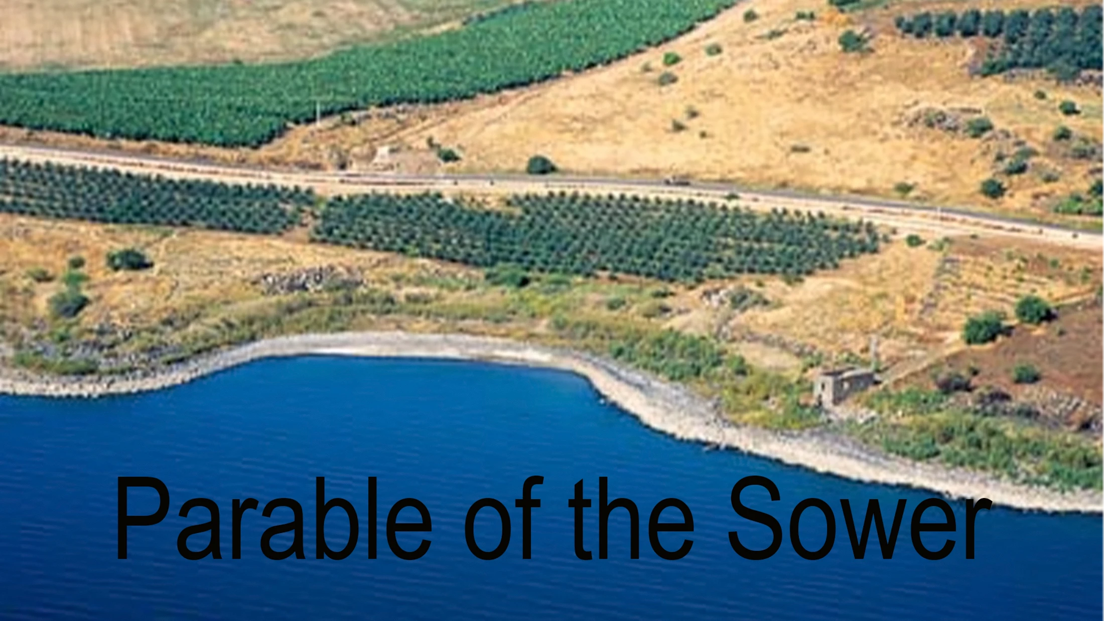Parable of the Sower