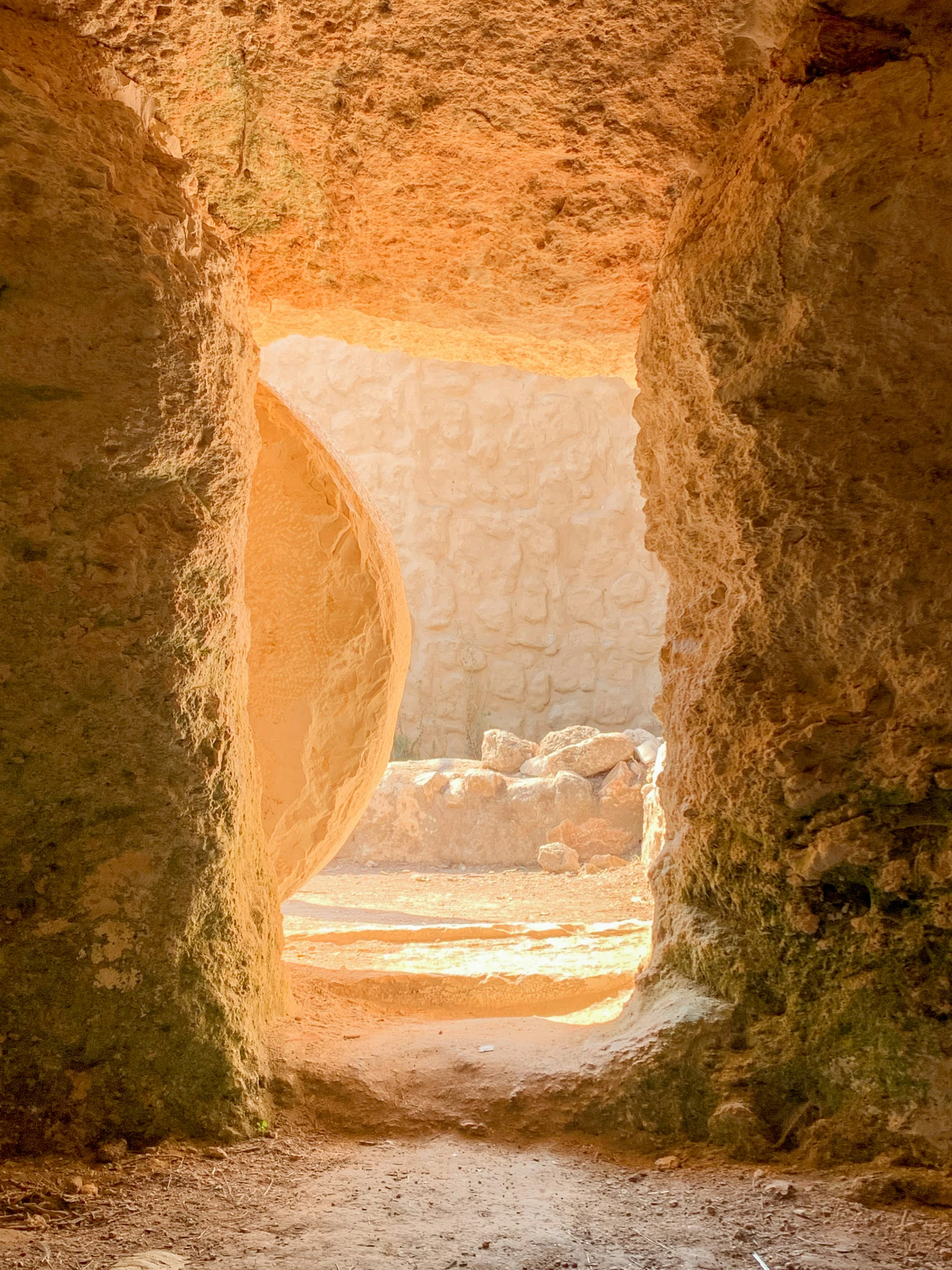 The King Conquers Death