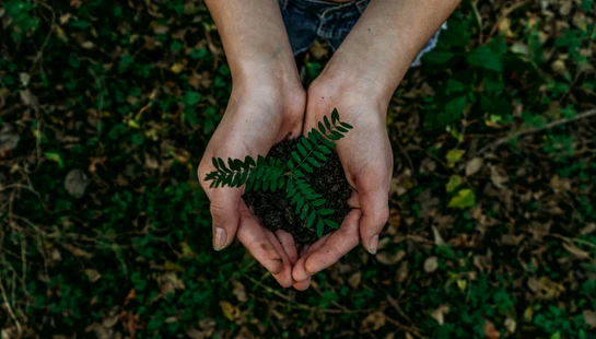 <span class="h1">Why Church Planting?</span>