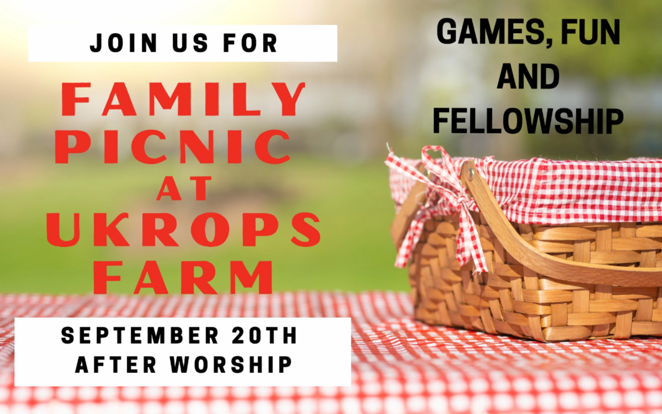 Family Picnic