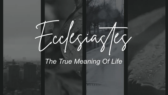 Title card for Ecclesiastes: The True Meaning Of Life, over a four-panel, black-and-white collage of a city, leaves, and rain.