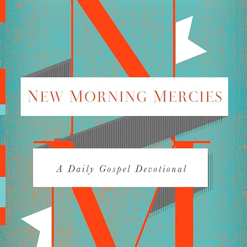 The book cover for 'New Morning Mercies' by Paul David Tripp. It features large, orange 'N' and 'M' letters against a textured teal background.