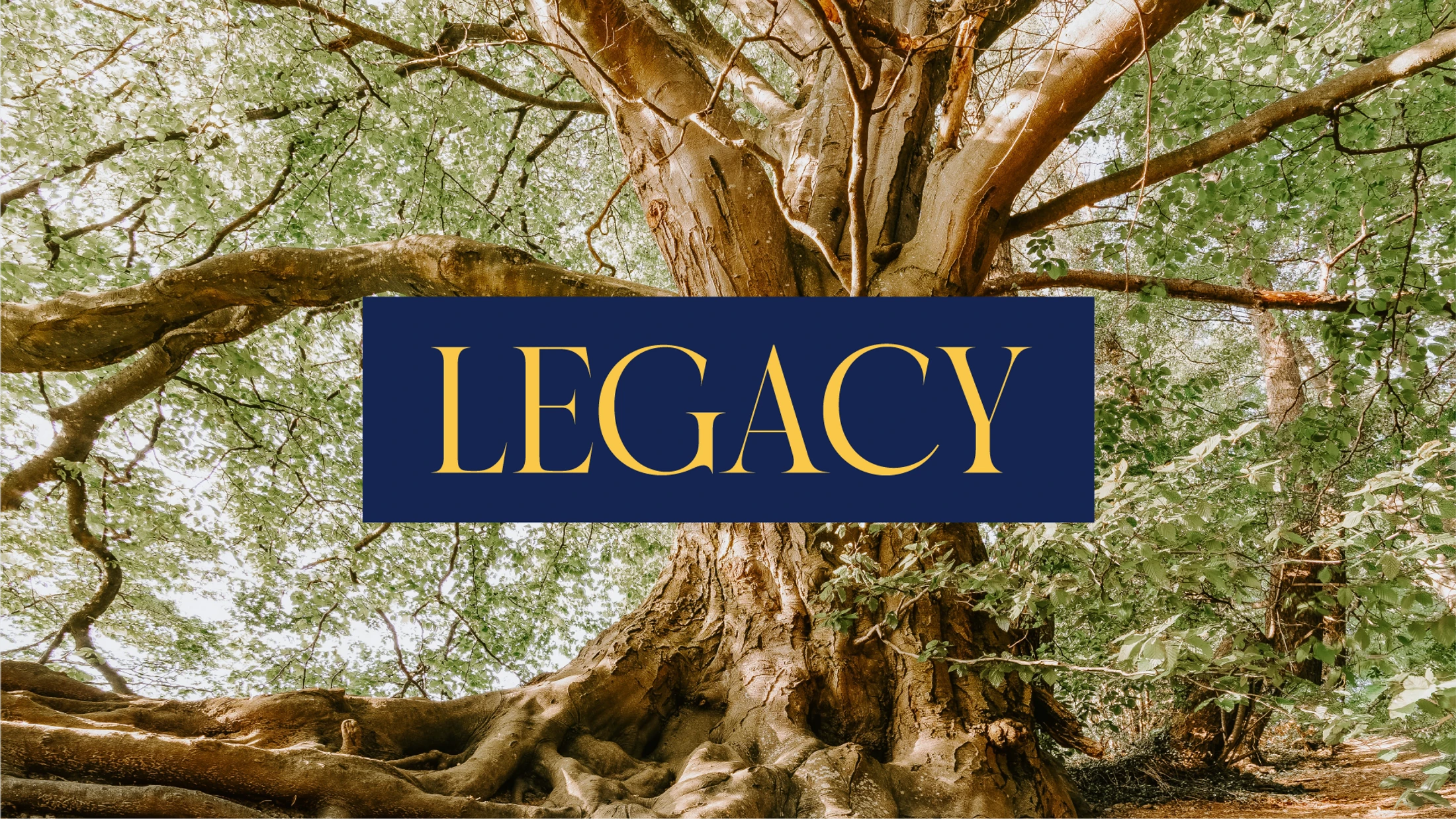 Legacy Wk 4 - Ps Az Hamilton "Legacy Sunday"