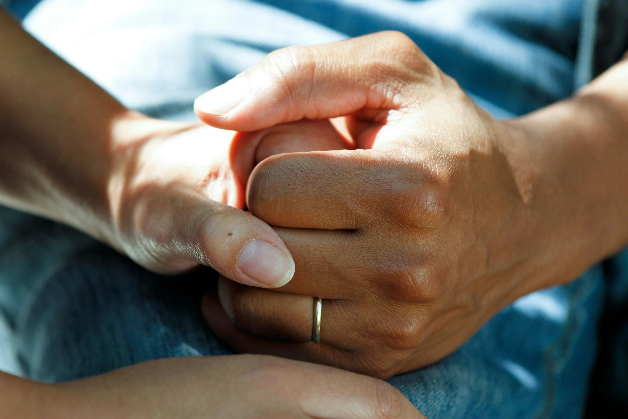 The Power of Gentleness in a Hostile World