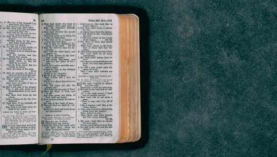 open pocket bible on green surface