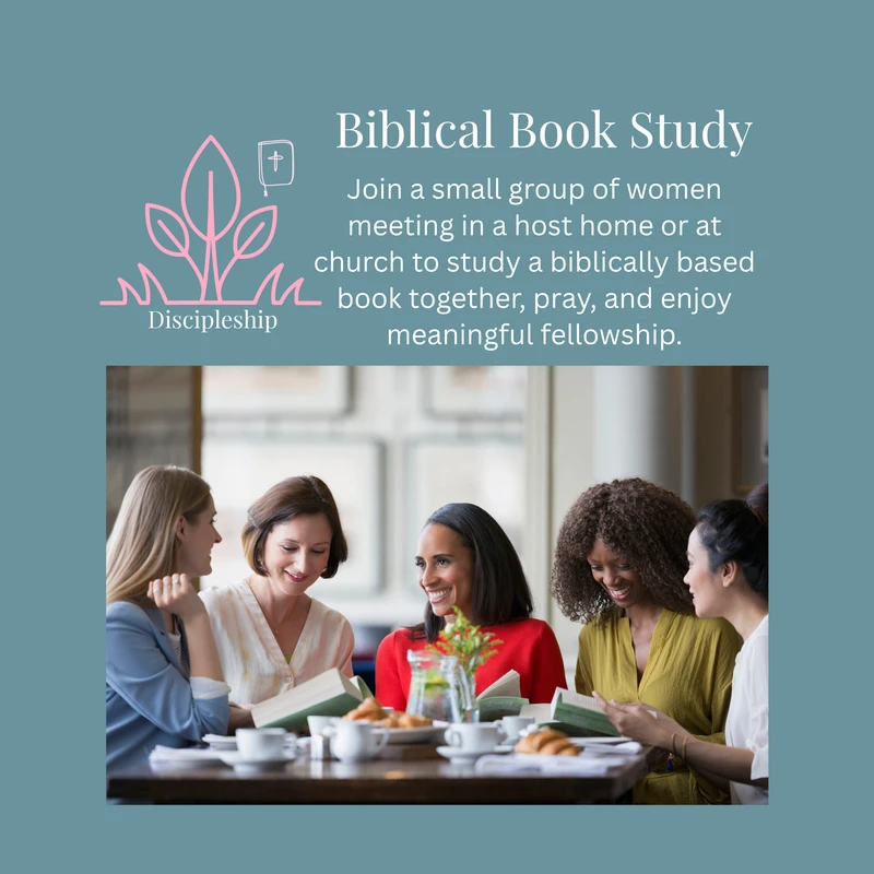 <span style="color: rgb(83, 119, 128);">Biblical Book Study</span>