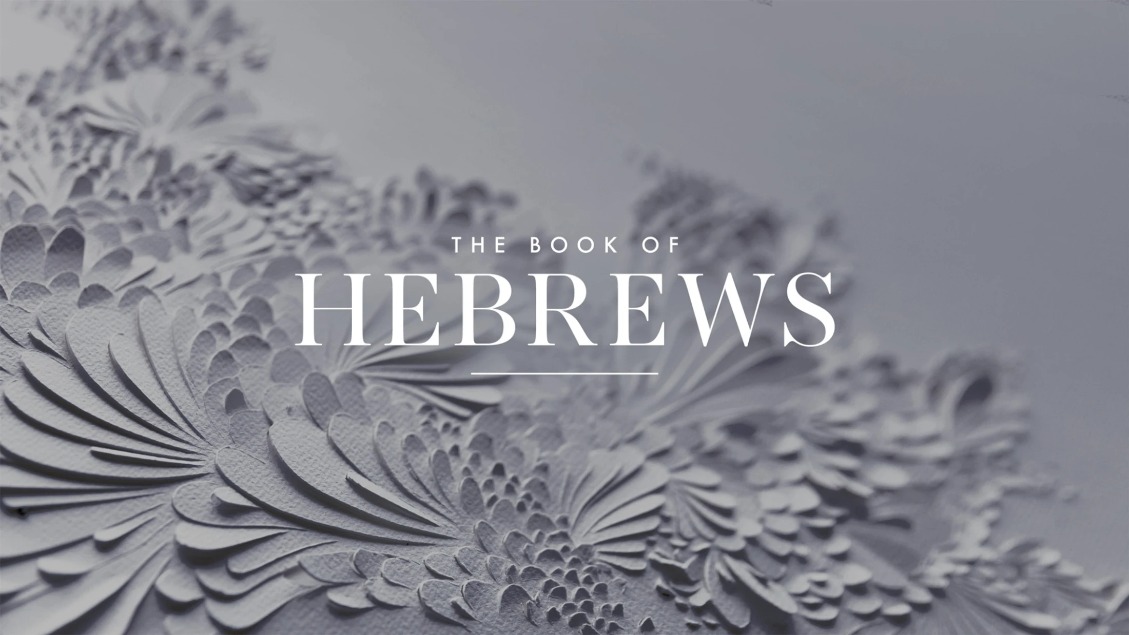 Wednesday Potluck & Bible Study