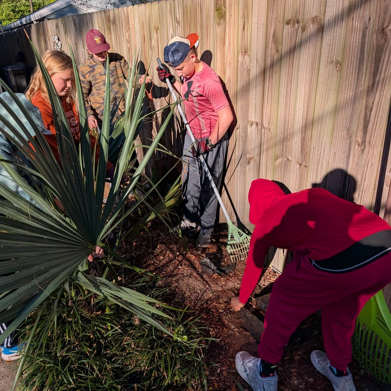 A group of four young people work together to clean up a garden bed next to a wooden fence, using rakes and their hands on a sunny day.