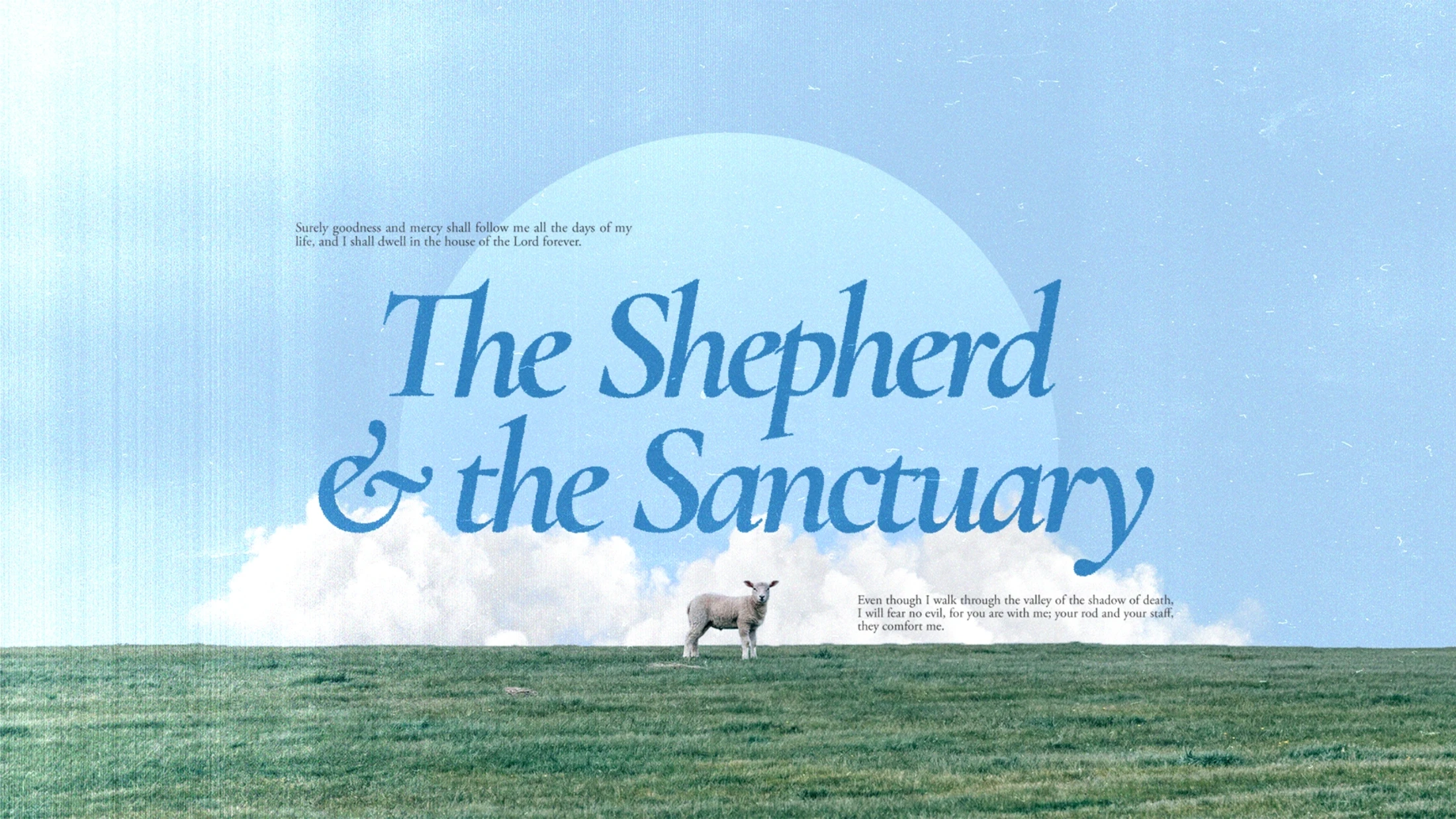 The Shepherd and the Sanctuary | Bryan Lee | 2026-08-09