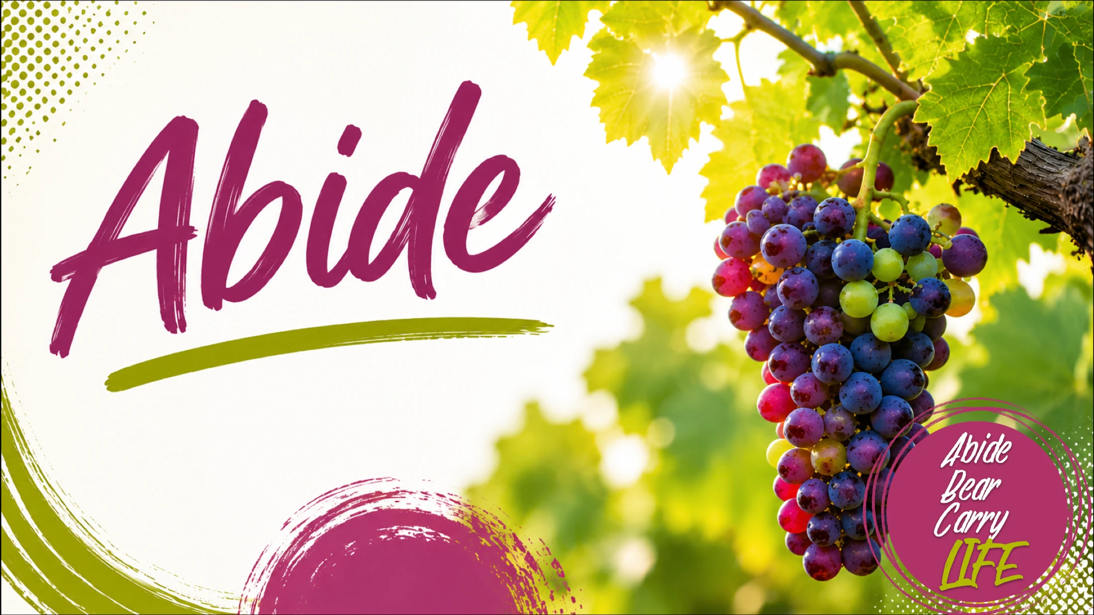 Abide