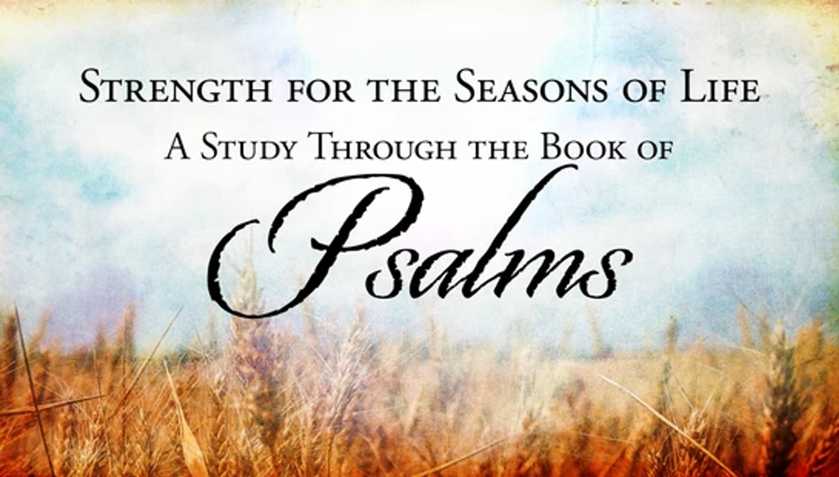 Graphic text for a Bible study, 'Strength for the Seasons of Life, A Study Through the Book of Psalms,' over a background of a golden wheat field and sky.