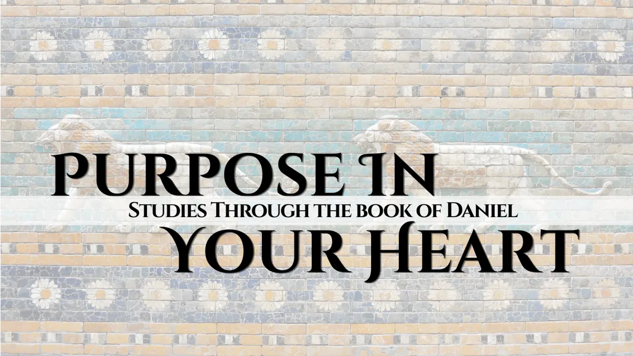 Purpose in Your Heart