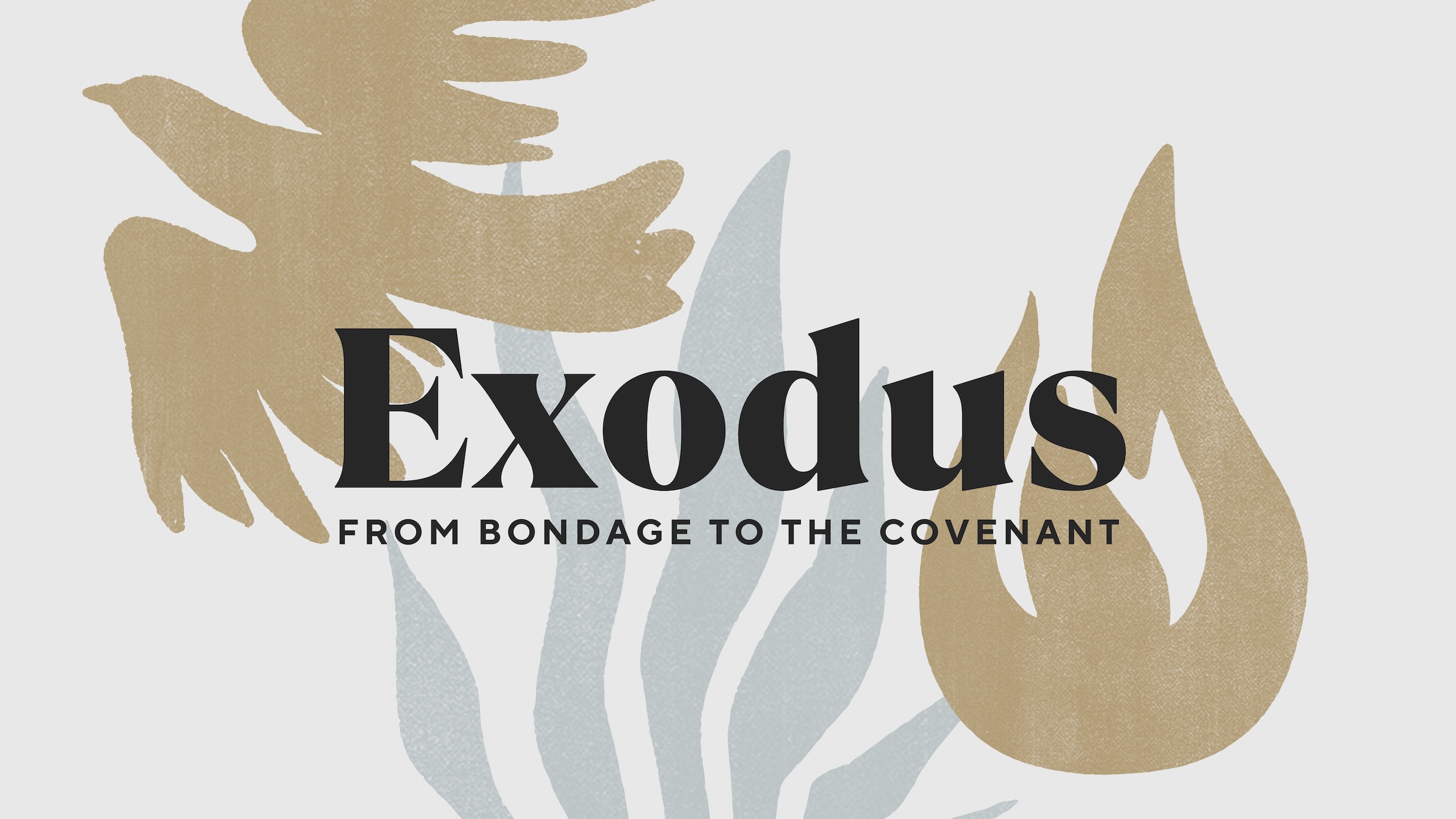 Exodus series artwork