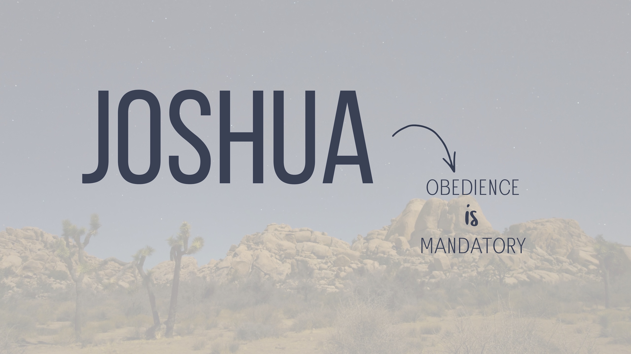 Joshua series artwork