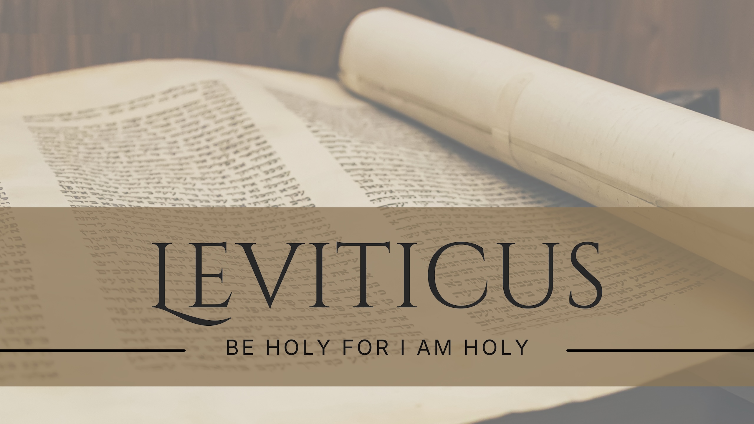 Leviticus series artwork