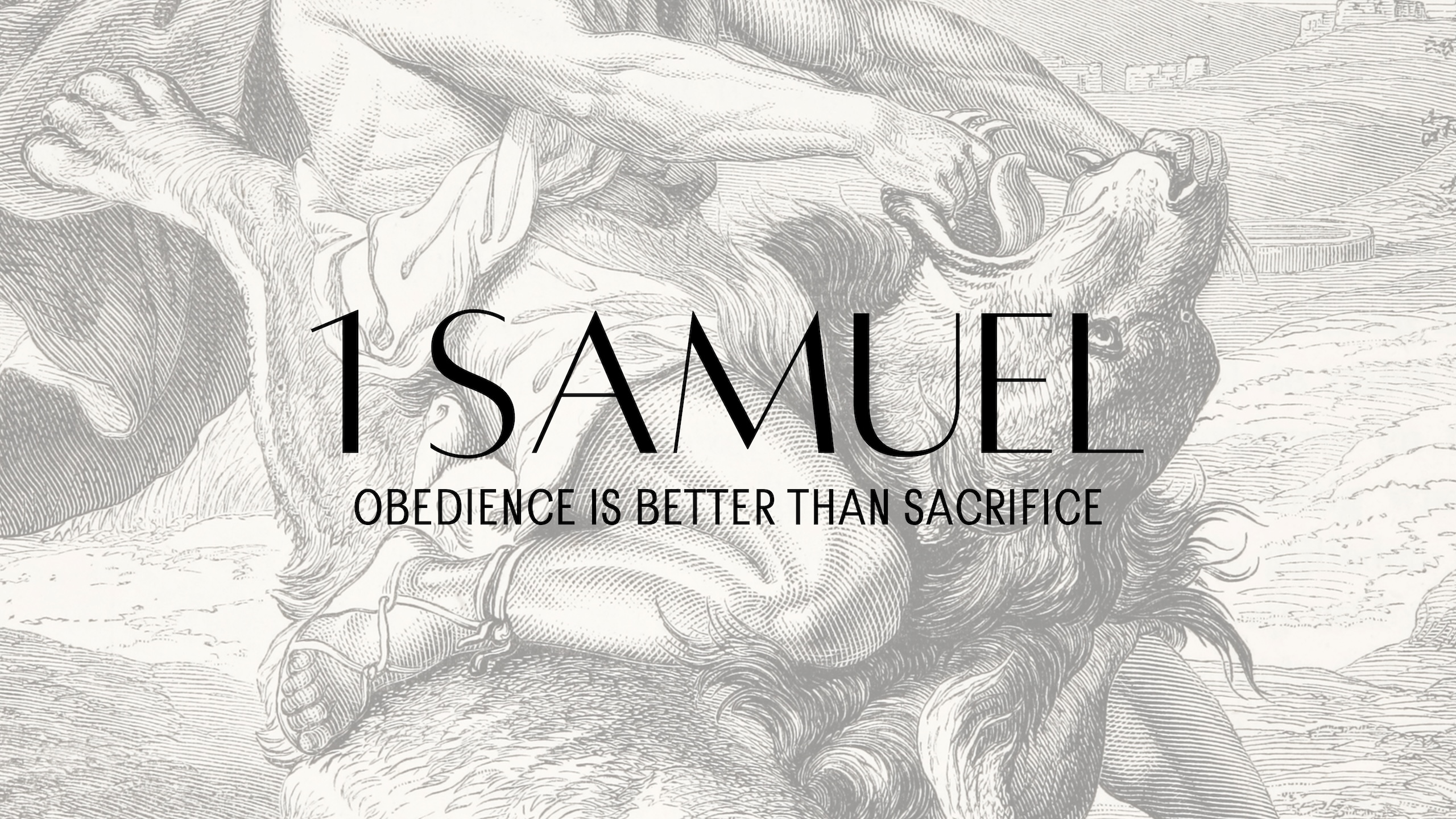 1 Samuel series artwork
